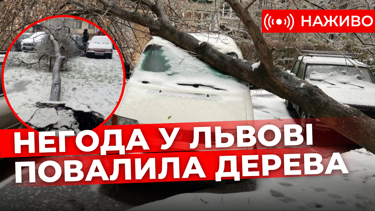 Негода у Львові повалила дерева. Стрім наживо
