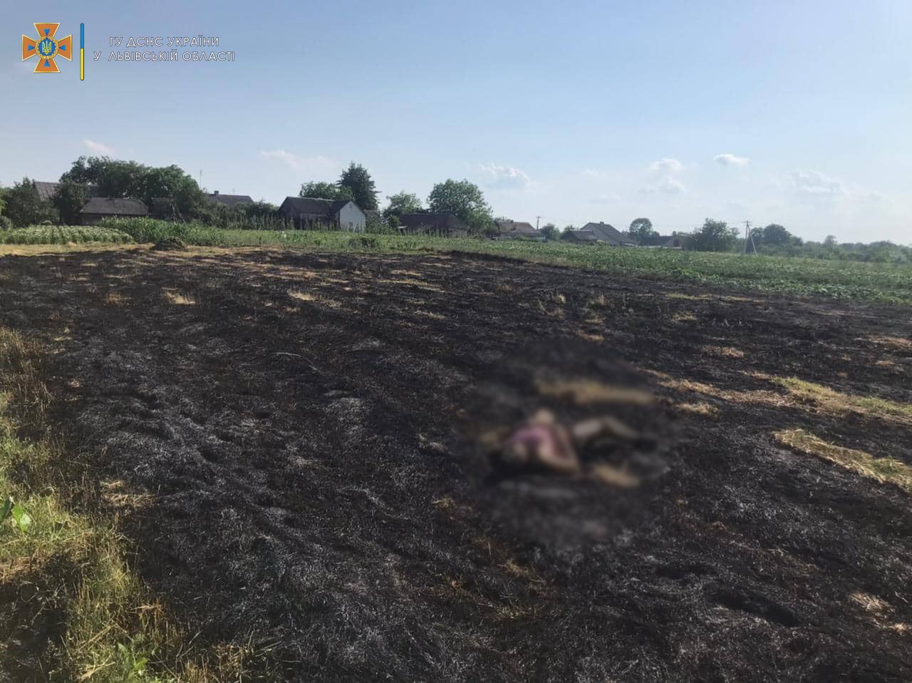 Біля Львова у вогні загинула палійка трави
