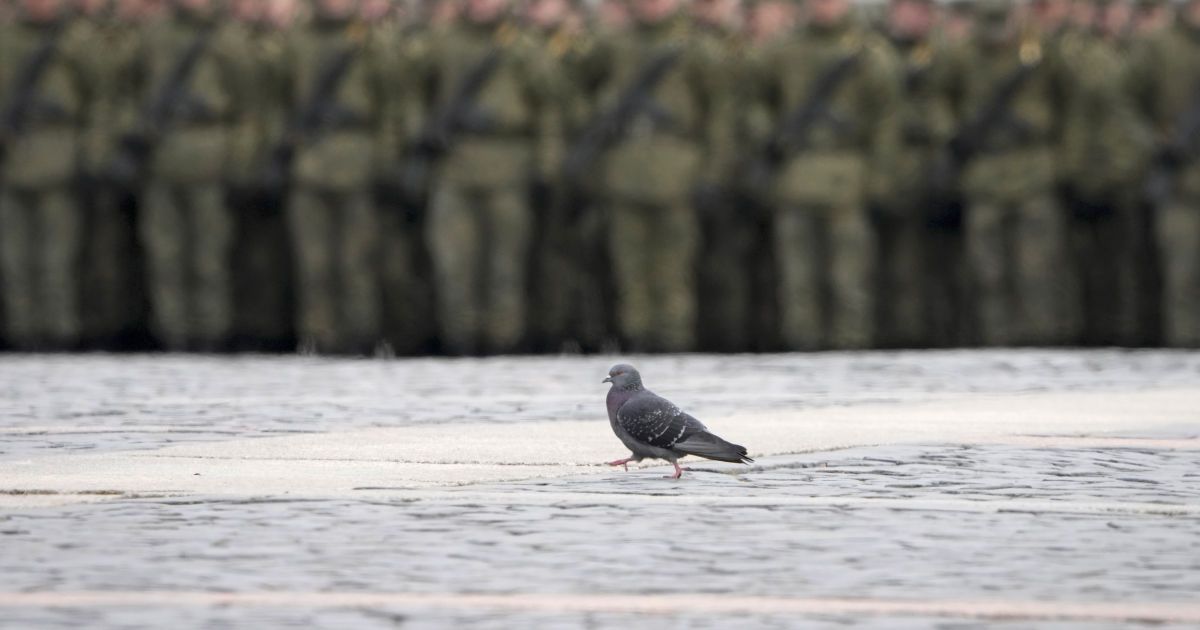 Росія визначила місця в Україні для дислокації свої «добровольчих» батальйонів
