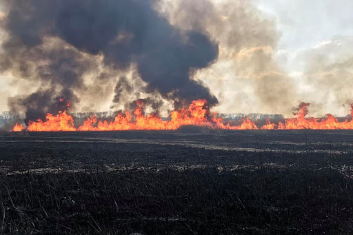 Понад 35 тисяч м кв. сухої трави згоріли на Львівщині за добу