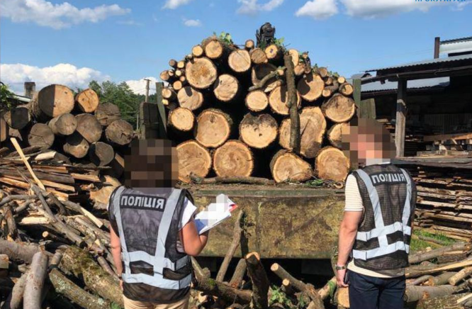 Розкрадання на мільйони гривень: на Львівщині лісникам повідомили про підозру