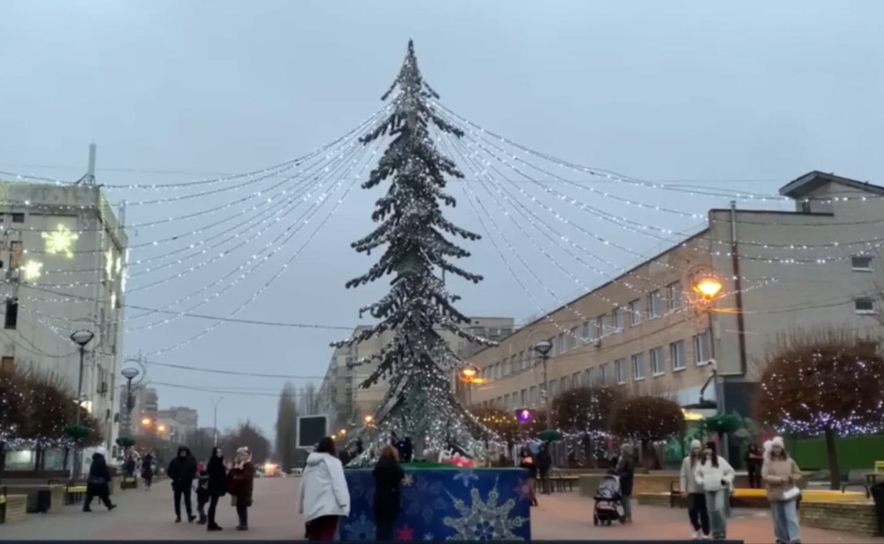 У Броварах біля Києва встановили дивну ялинку