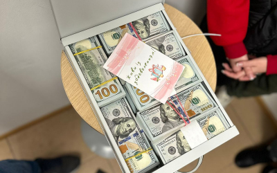 У депутатки на Хмельниччині знайшли понад 1,5 мільйона незадекларованих доларів