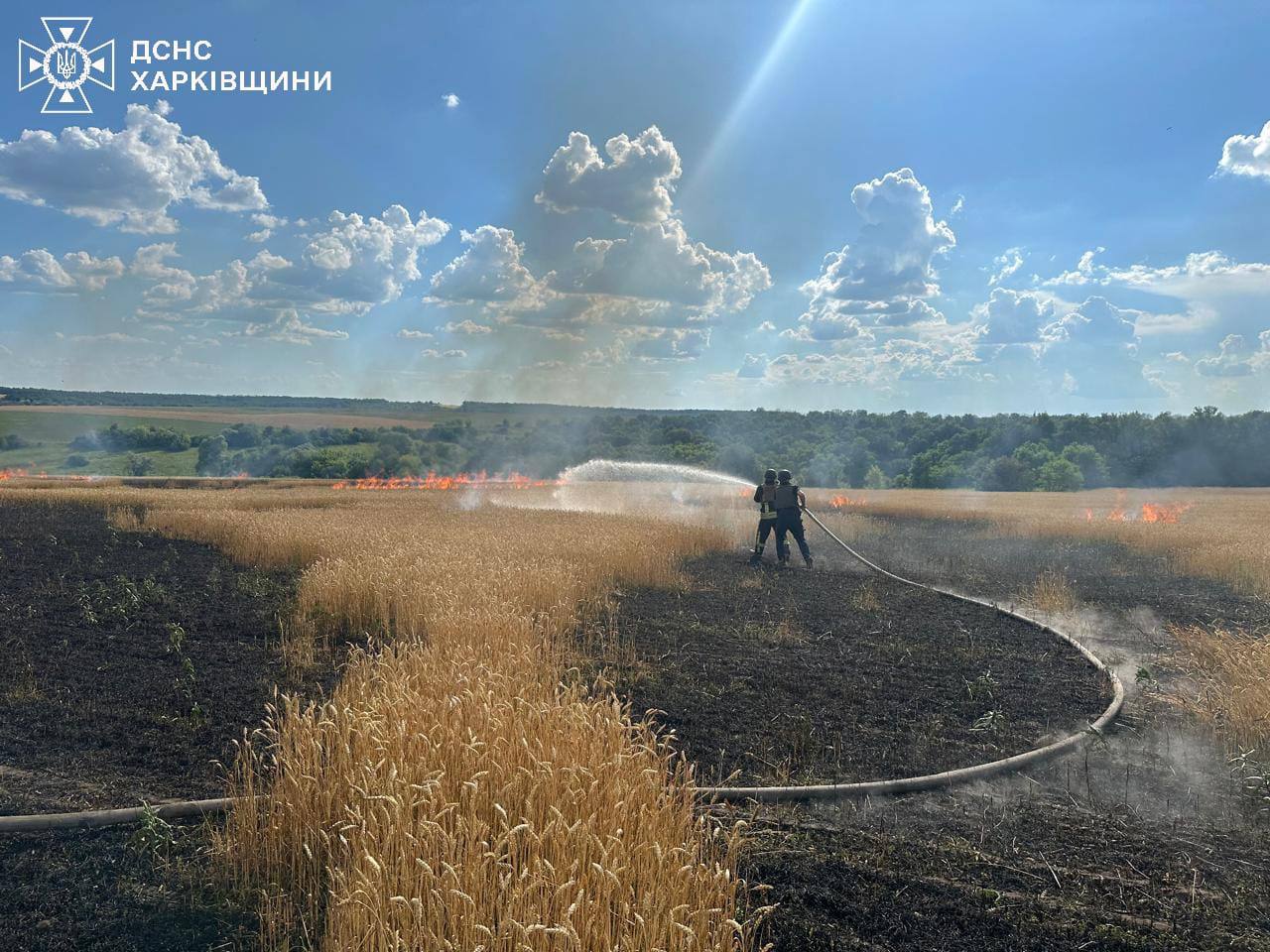 РФ намагається знищити урожай: на Харківщині обстріляли хлібний лан, виникла пожежа