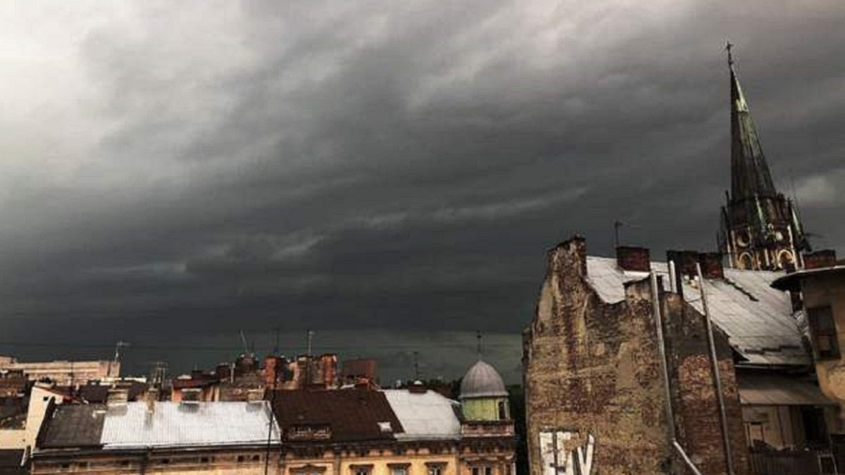 У Львові через грозу впало дерево на тролейбус: є перше відео