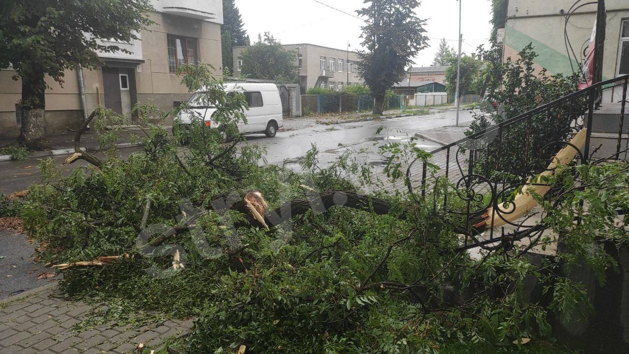 На Львівщині вчора вирувала негода: які наслідки