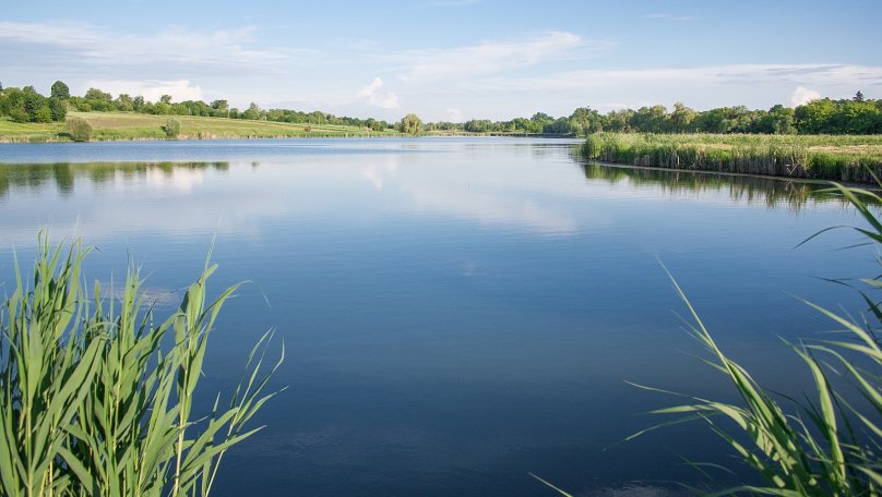 На Львівщині 35-річна жінка потонула в ставку