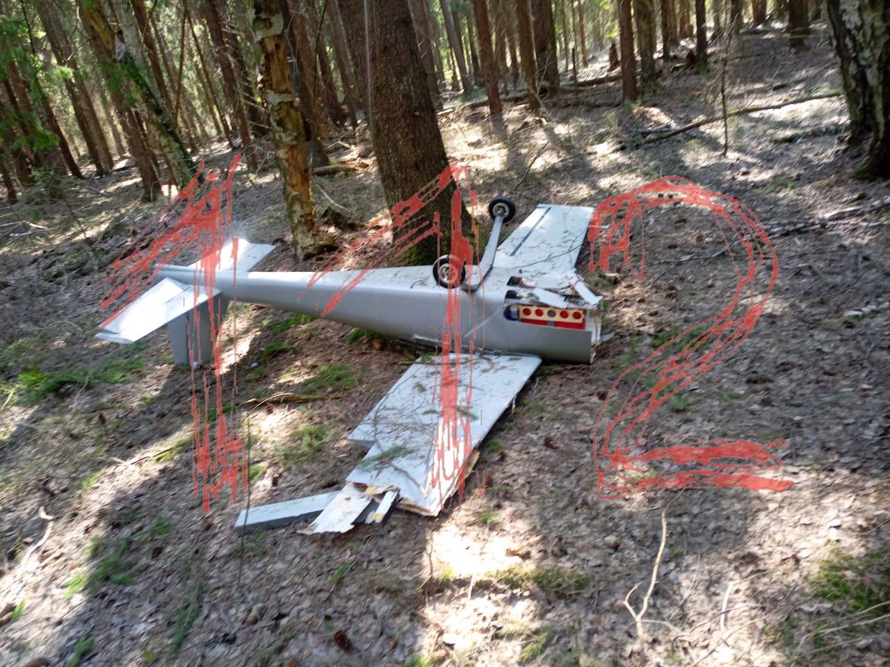 Безпілотник UJ-22 Airborn із 17 кг вибухівки впав у Підмосков'ї, - ЗМІ