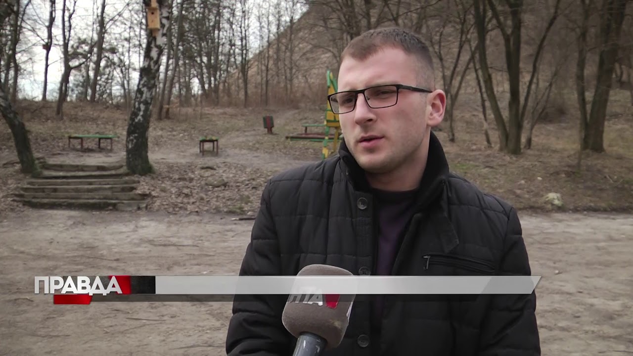 У Львові мешканці кількох будинків посварились через незаконно зрубані дерева