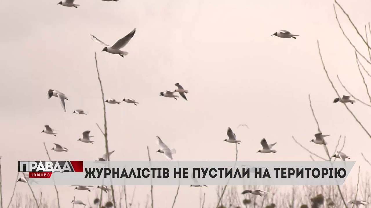 Сміттєві гори вже не у баках, а на перевантажувальних станціях