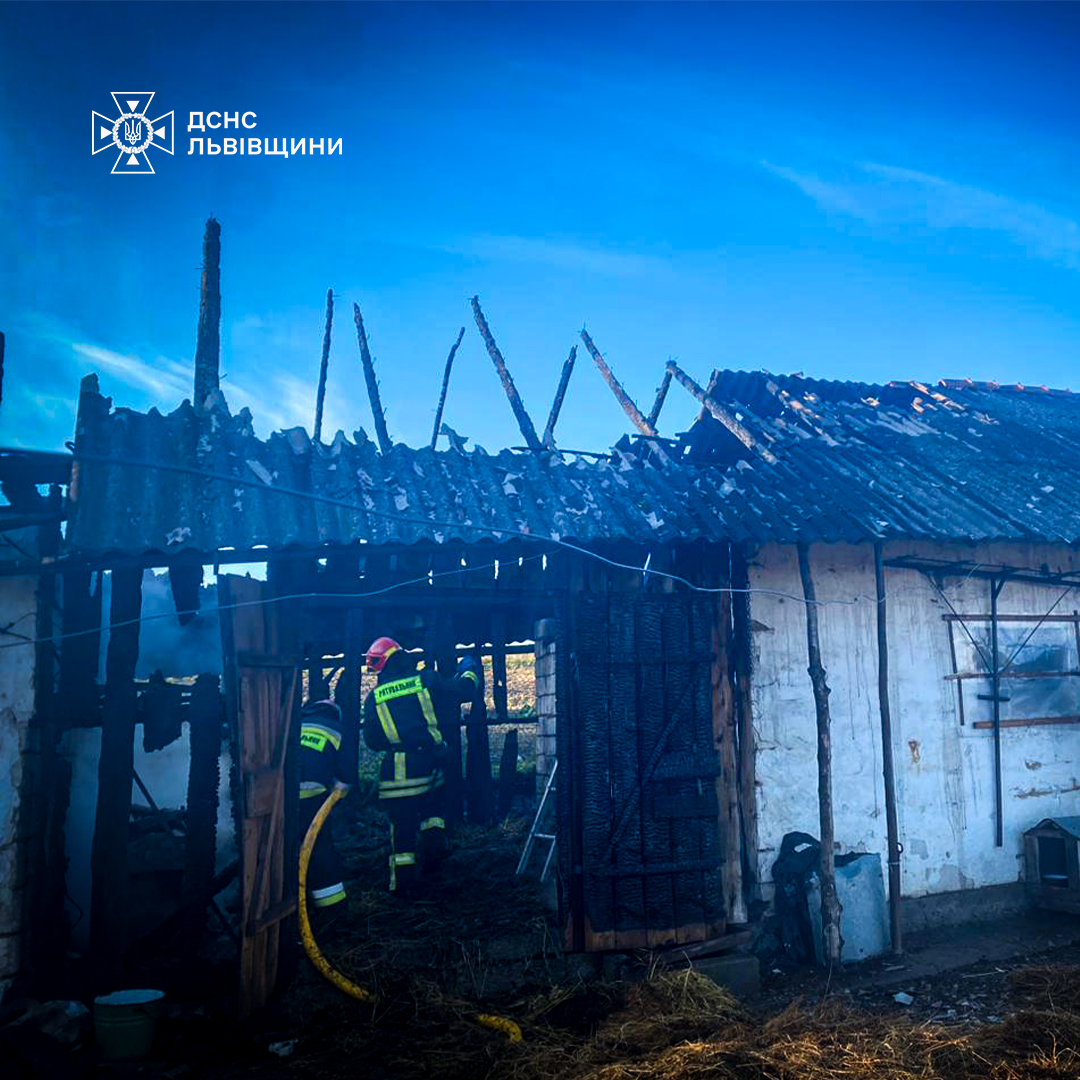 У пожежі на Львівщині загинула жінка