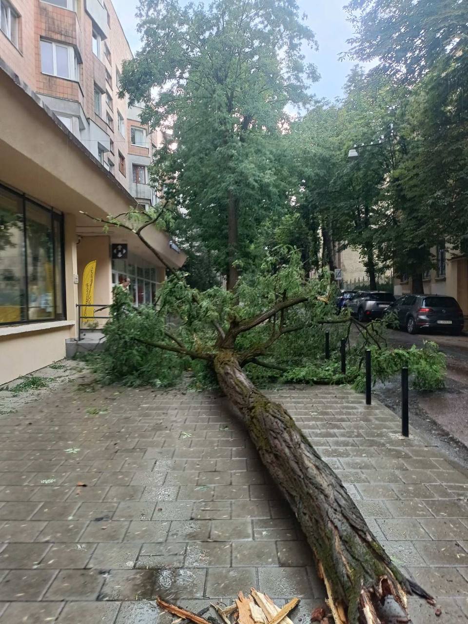 У Львові через грозу не їдуть трамваї