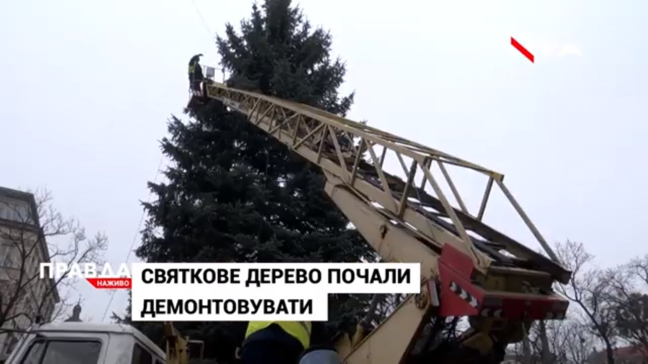 У Львові демонтували новорічну ялинку