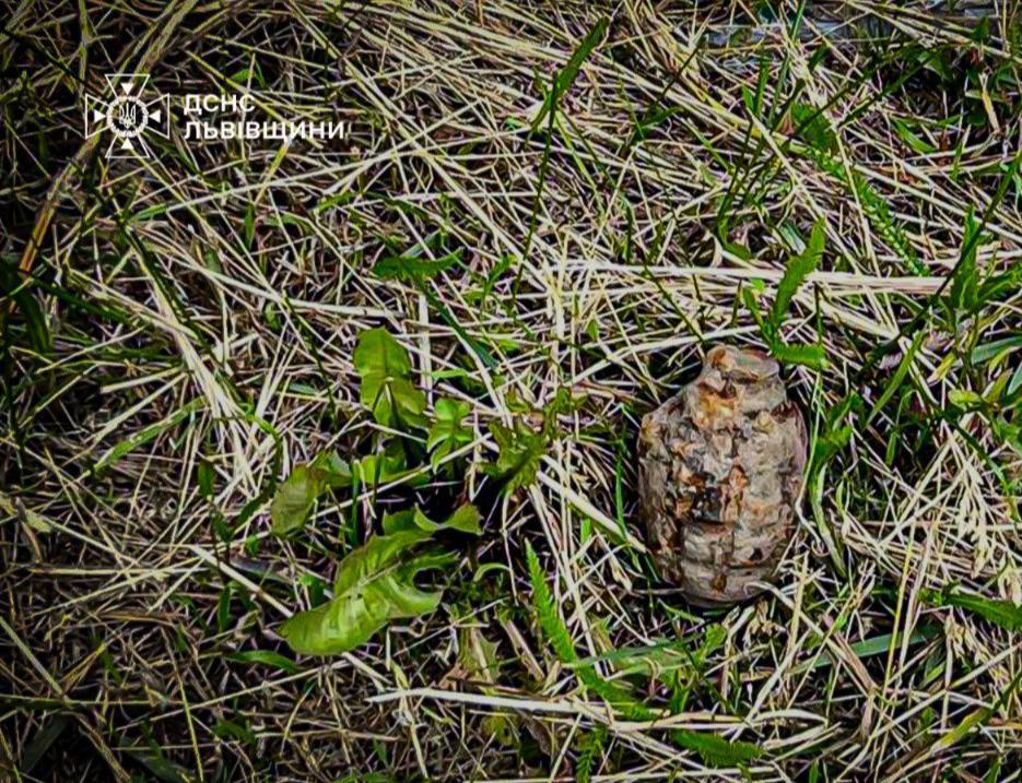 У Львові недалеко від будівель знайшли гранату Ф-1 часів II Світової війни (фото)