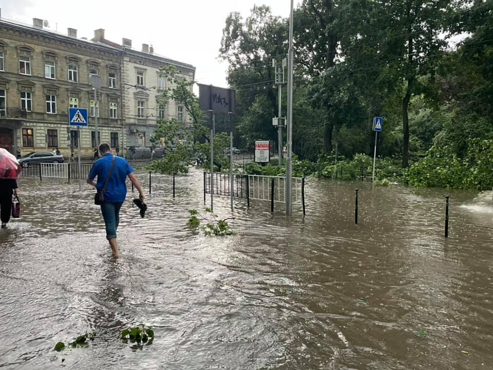 В'юнкі рослини і зелені зупинки. Як адаптувати Львів до погодних аномалій