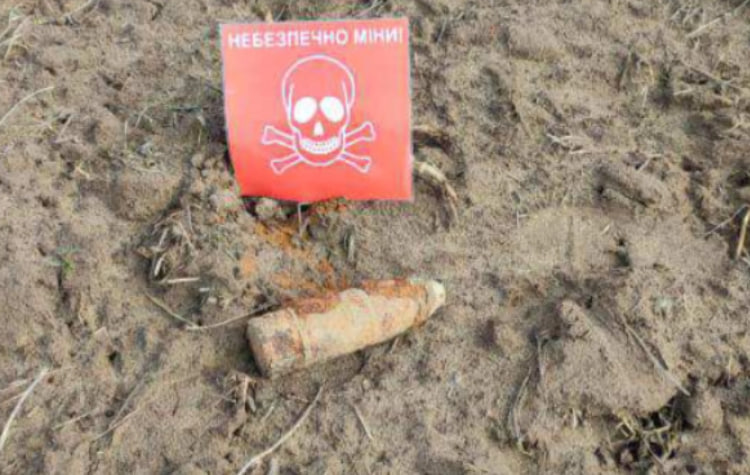 У селищі на Львівщині під час прогулянки знайшли артснаряд Другої світової