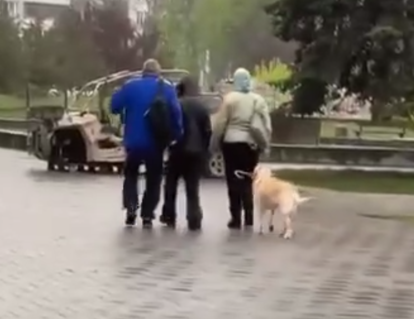 Справжній львів'янин: у мережі з'явилося відео, як пес гуляє містом із парасолькою