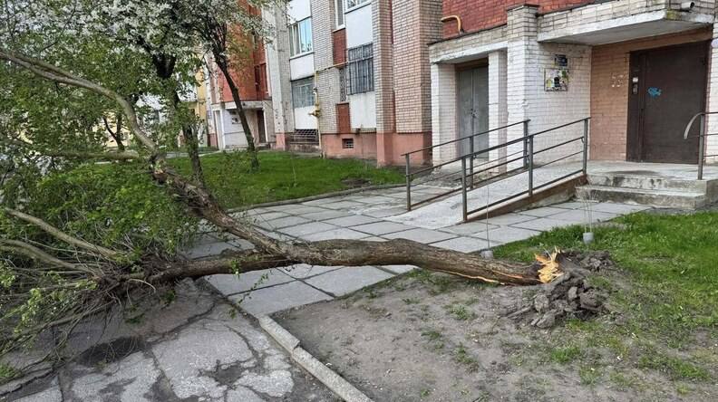 Львівська міська рада терміново звернулася до мешканців