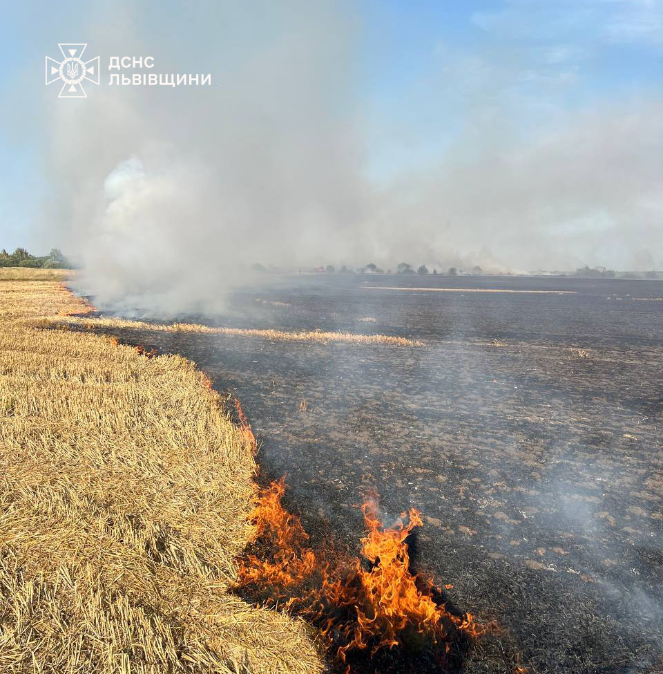 На Львівщині палала земля