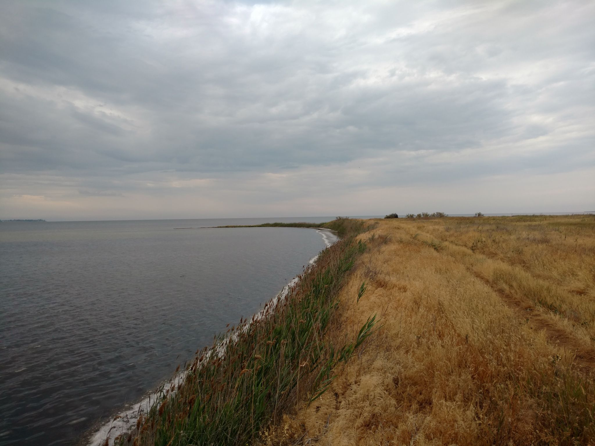 На Херсонщині російська армія облаштувала артилерійський полігон