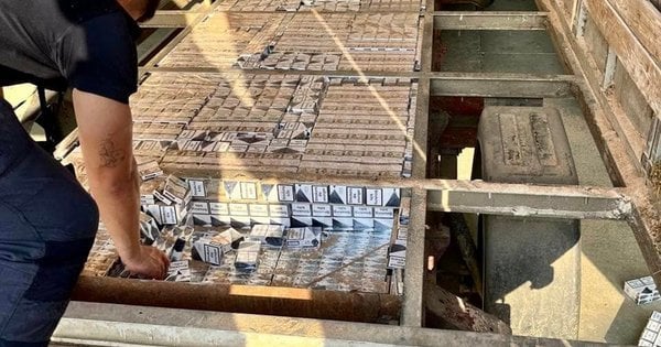 На чернівецькій митниці під комбікормом виявили цікаву знахідку на 1,6 млн грн (відео)