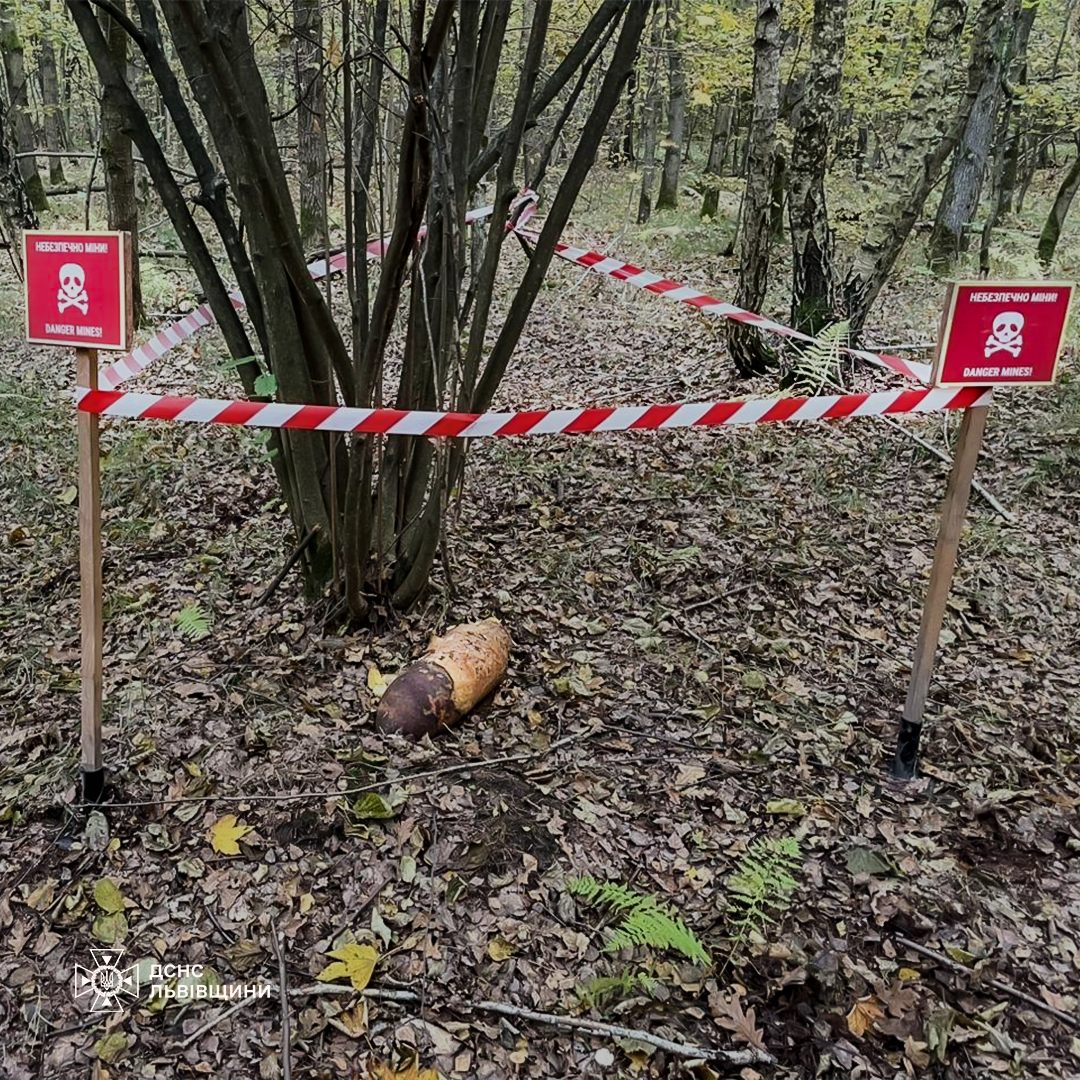 Небезпечна знахідка: у лісі на Львівщині виявили боєприпас часів Другої світової