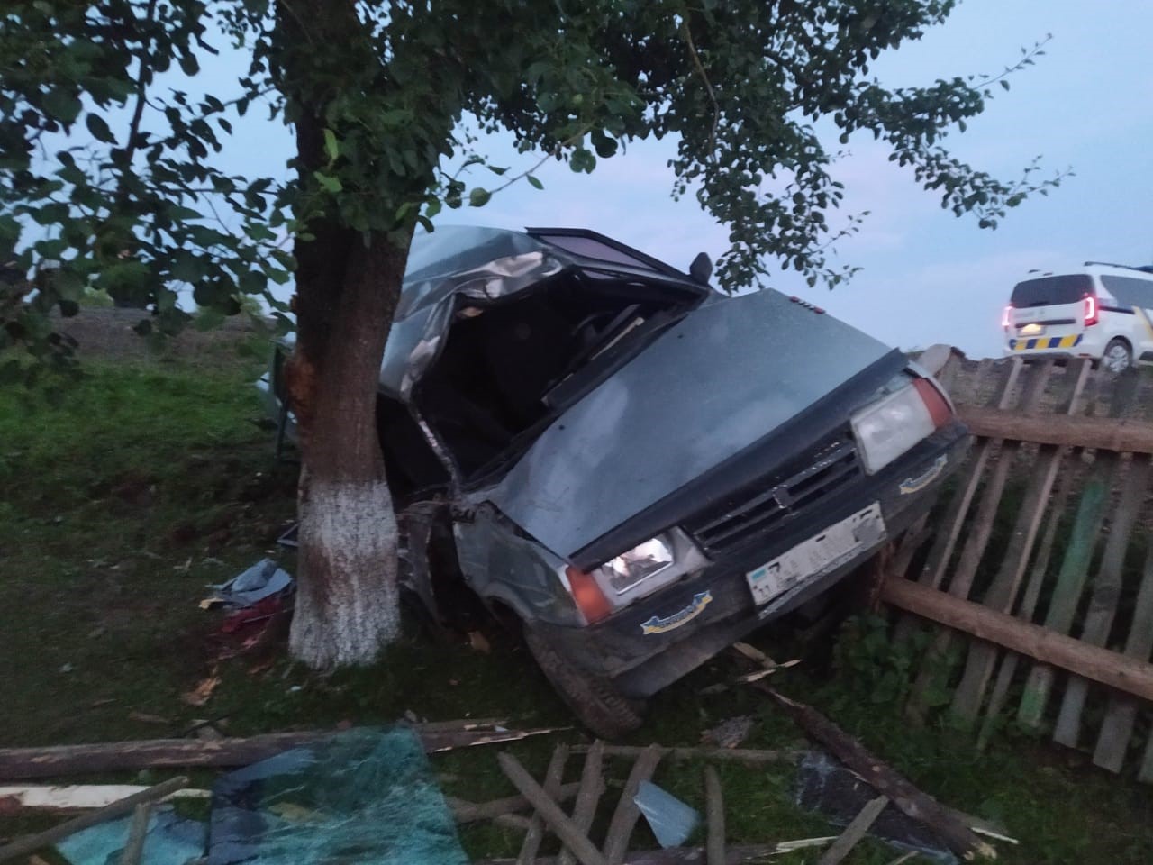 На Львівщині сталася смертельна ДТП. Водій влетів у дерево