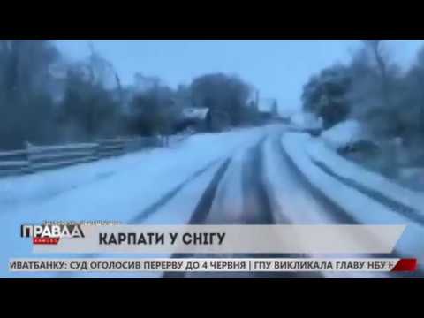 Карпати вкрило снігом