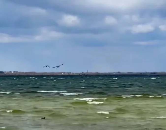 Як штормить легендарне озеро Світязь (фото)