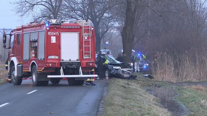 У Польщі автівка з українцями врізалася в дерево: загинули троє осіб