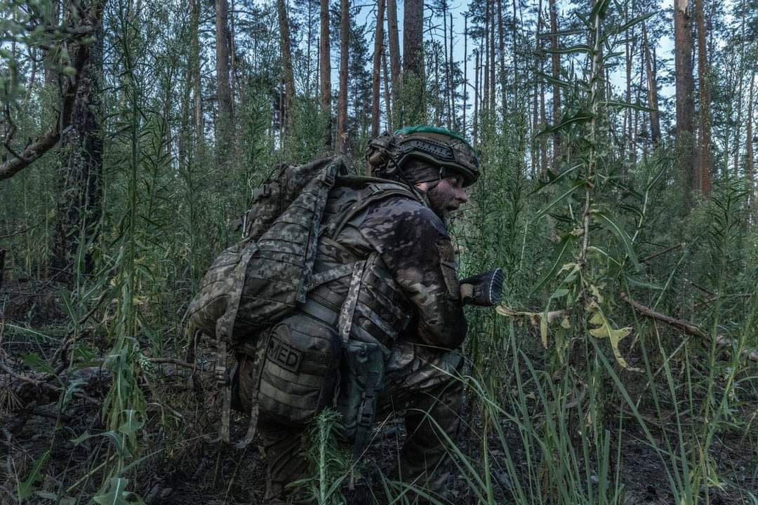 Українські сили завдали майже 50 успішних ударів по позиціях ворога. Генштаб ЗСУ