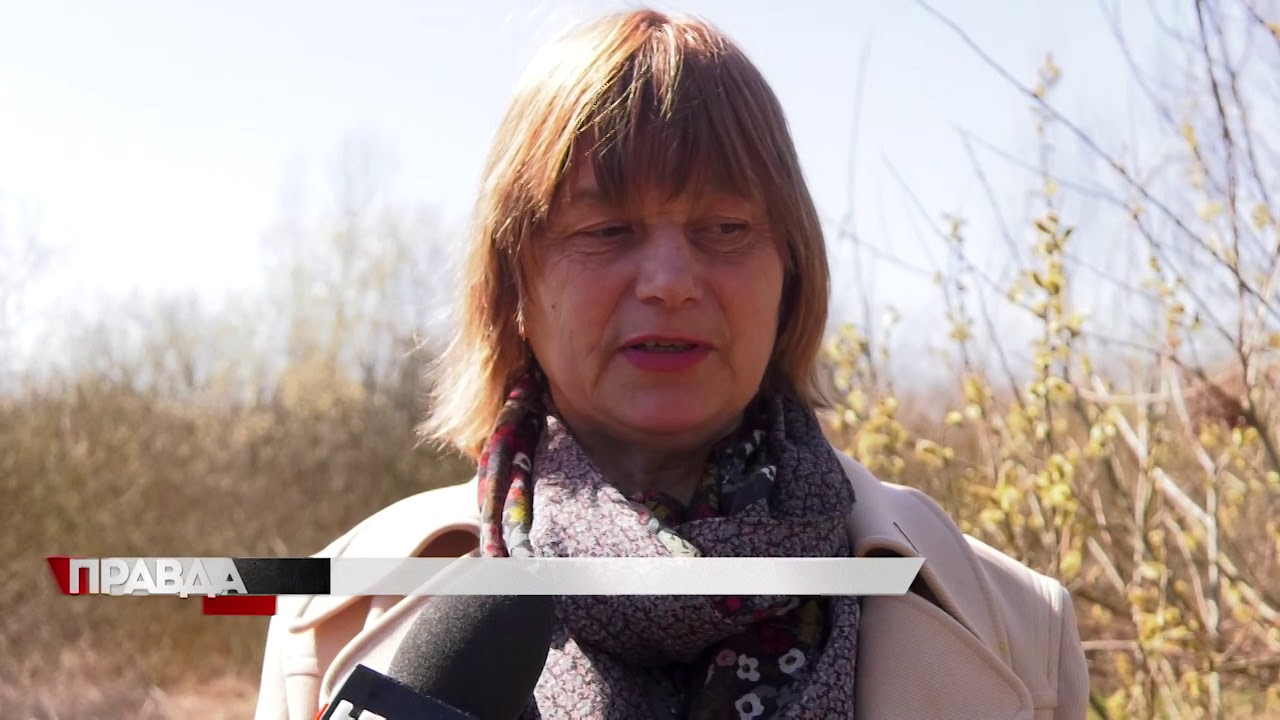 На Львівщині мешканці знайшли перегній в ровах