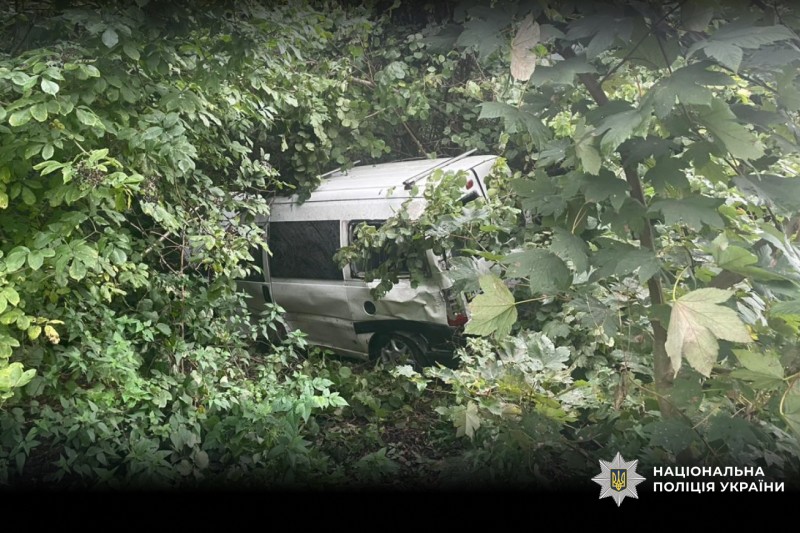 На Львівщині мікроавтобус вилетів з дороги (фото)