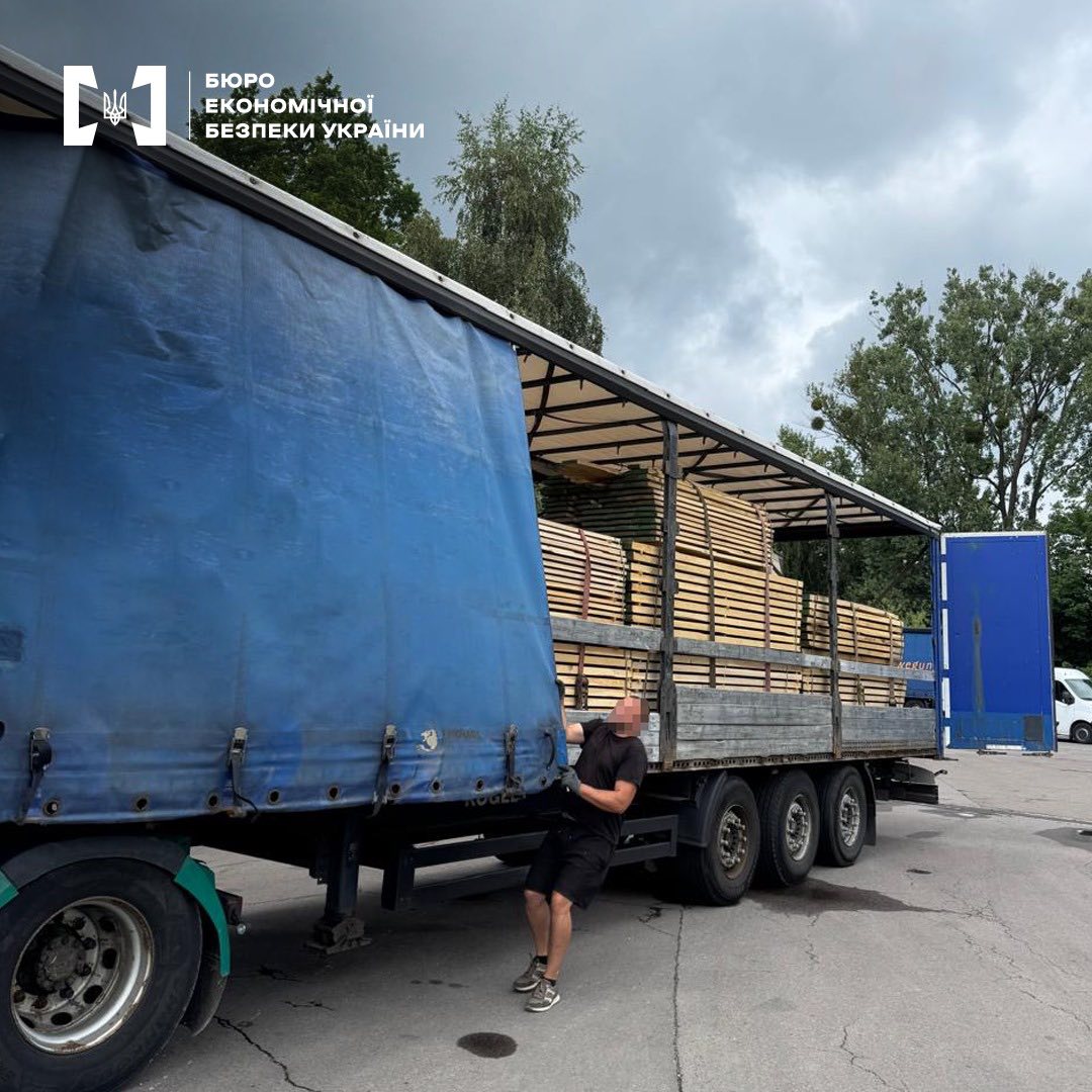 На Львівщині БЕБ ліквідувало канал контрабанди лісоматеріалів з дуба (фото)