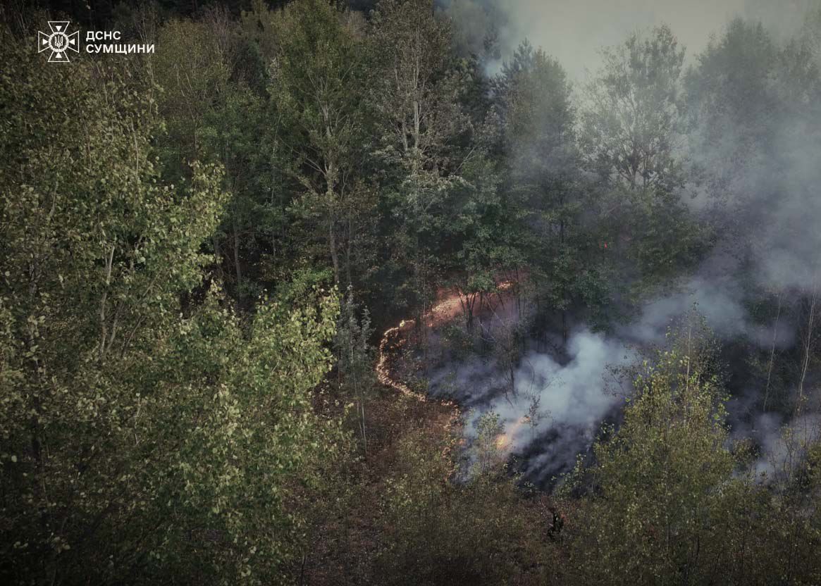 На Сумщині дві доби гасили лісову пожежу: рятувальники повідомили деталі