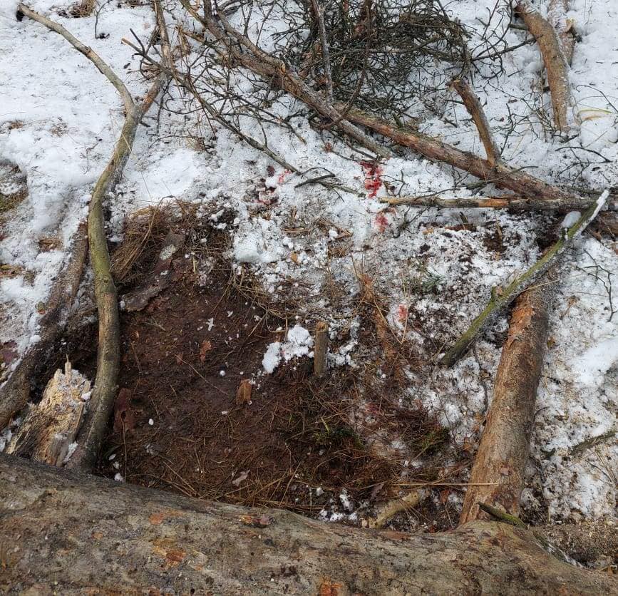 Біля кордону з Білоруссю від вибуху російської міни постраждала людина