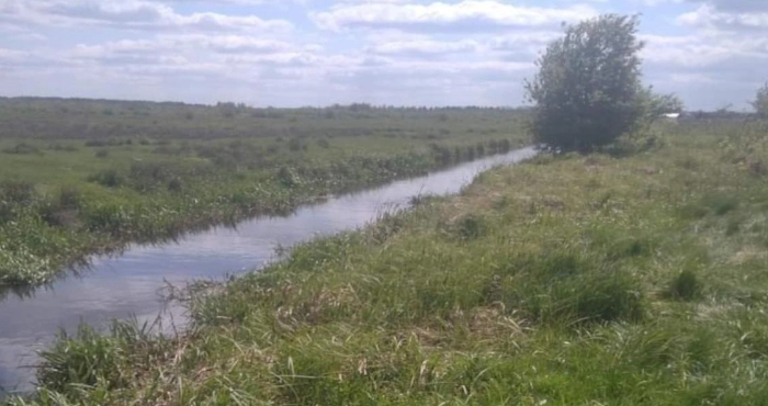 На Львівщині у меліоративному каналі виявили тіло чоловіка