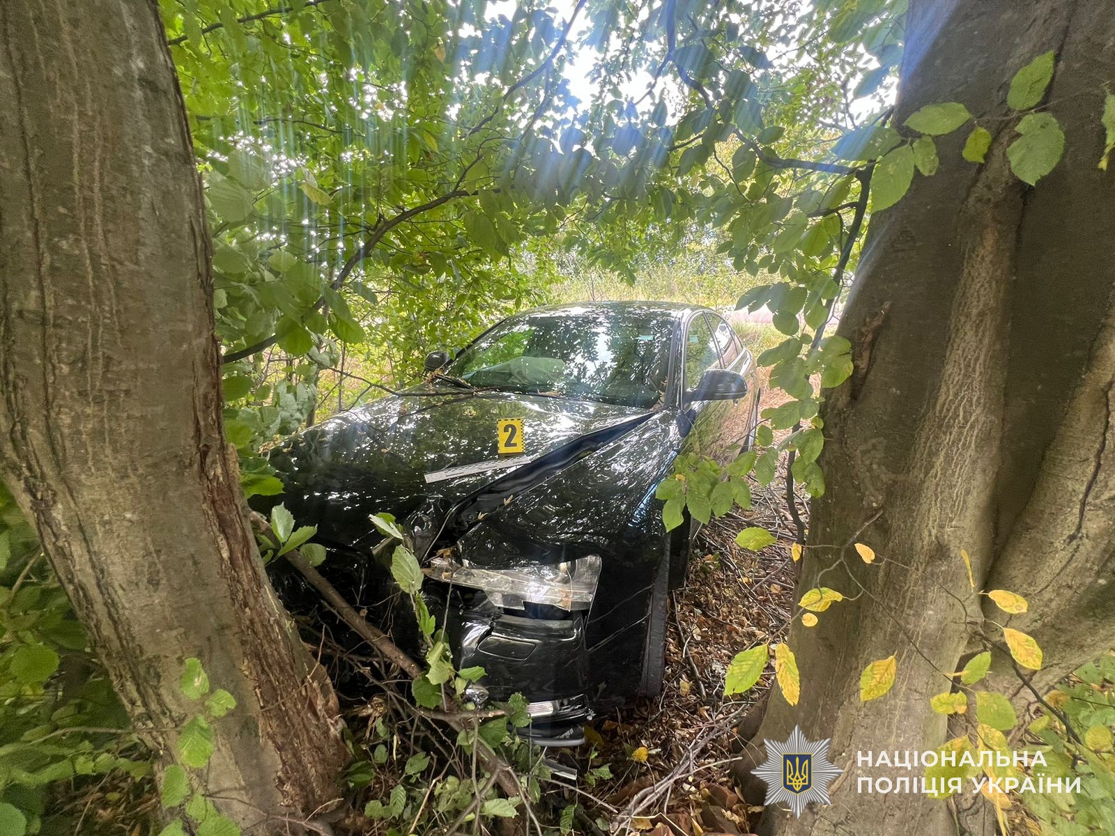 На Львівщині в ДТП травмувалися троє дітей