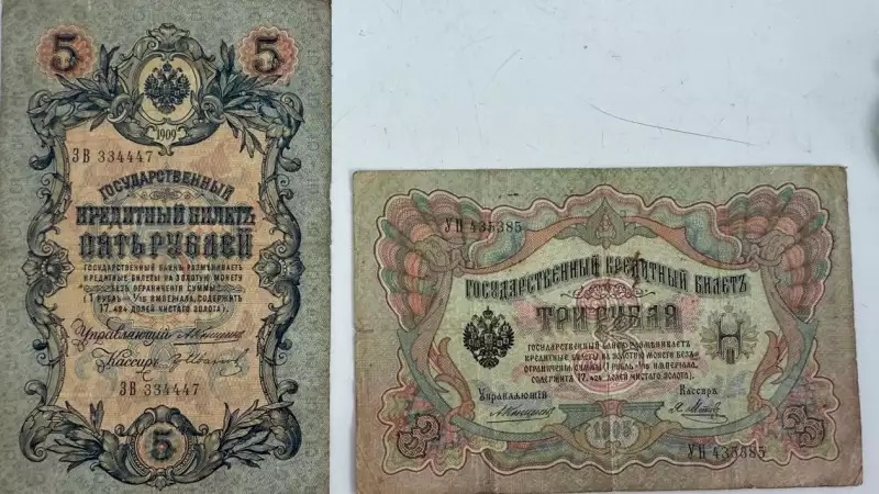На Буковині прикордонники затримали чоловіка, який намагався вивезти старовинні гроші (фото)