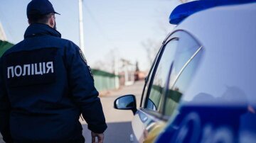 У Хмельницькому жінка наїхала на поліцейського, захищаючи чоловіка від ТЦК: як її покарав суд