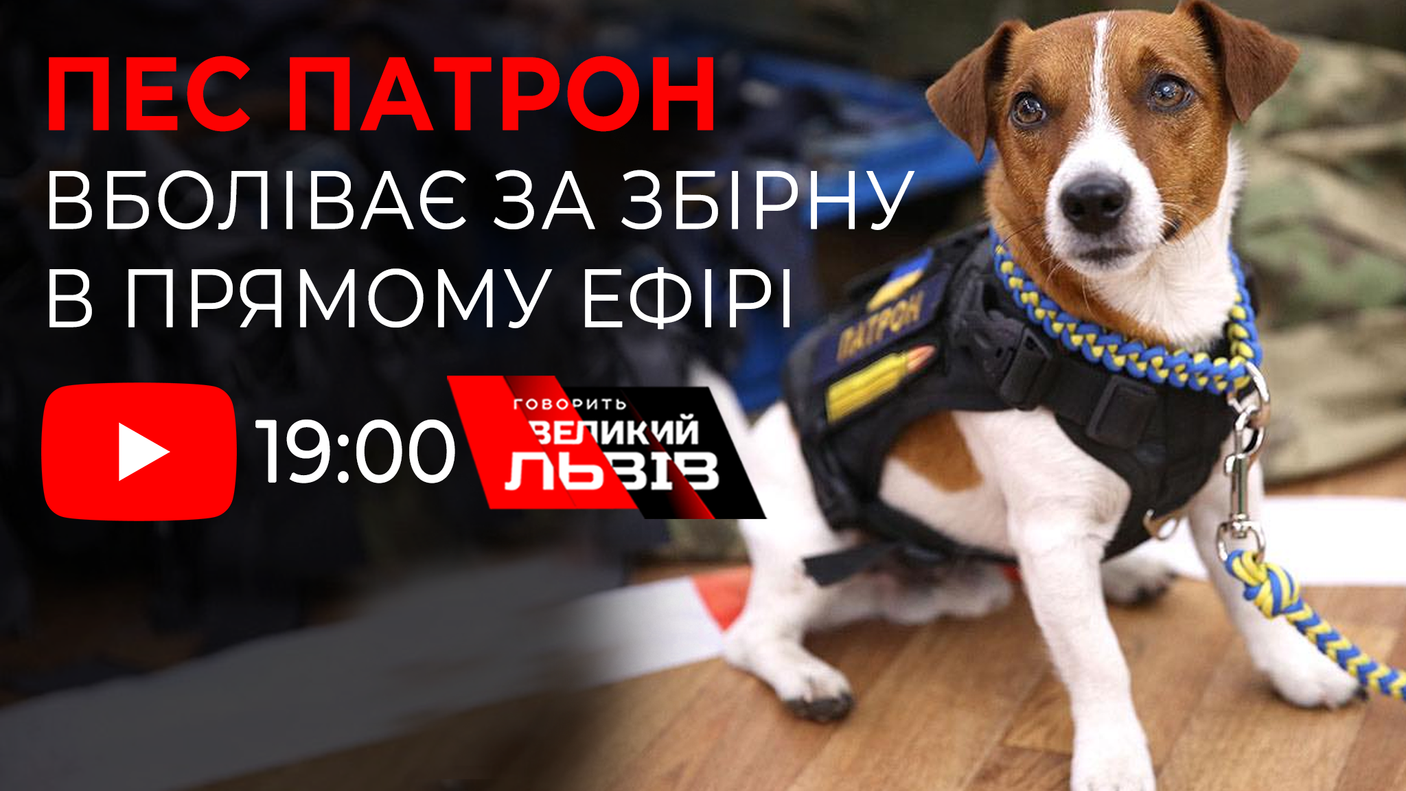 Патрон у Львові. Найвідоміший цуцик України - гість спецефіру NTA