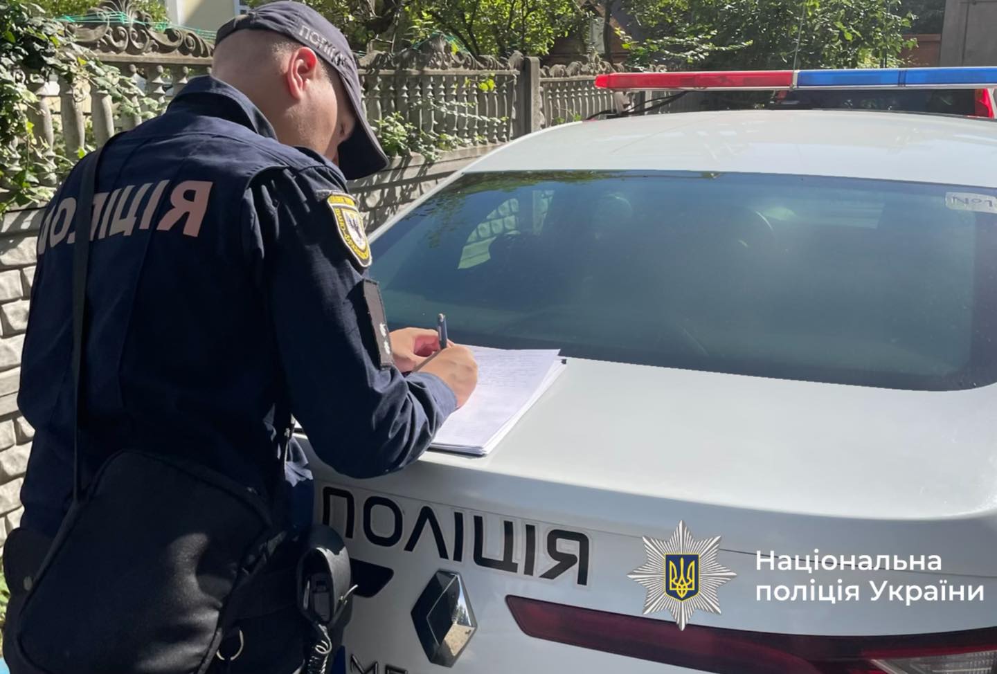 На Прикарпатті водій збив отару овець та втік з місця події: його розшукали (ВІДЕО)