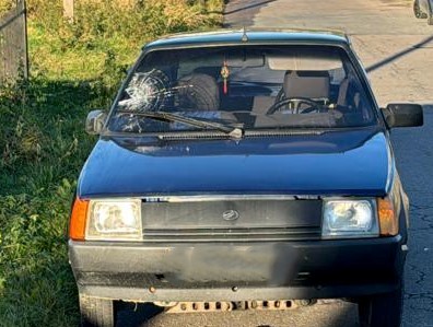 На Львівщині водій легковика збив 34-річного пішохода