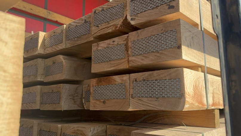 На Львівщині намагались вивезти за кордон свіжозрубану деревину під виглядом старої (фото)