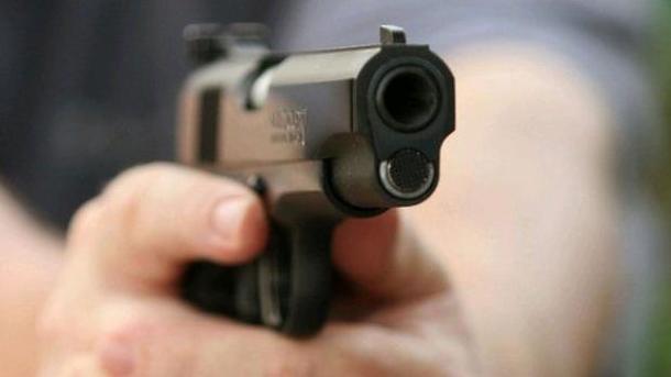У Києві біля озера «Синє» розстріляли двох собак: поліція розпочала розслідування