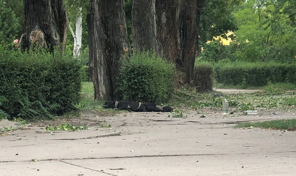 Росіяни обстріляли Енергодар: загинув працівник ЗАЕС