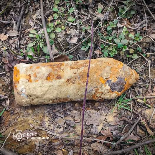 На Львівщині виявили застарілий боєприпас (фото)