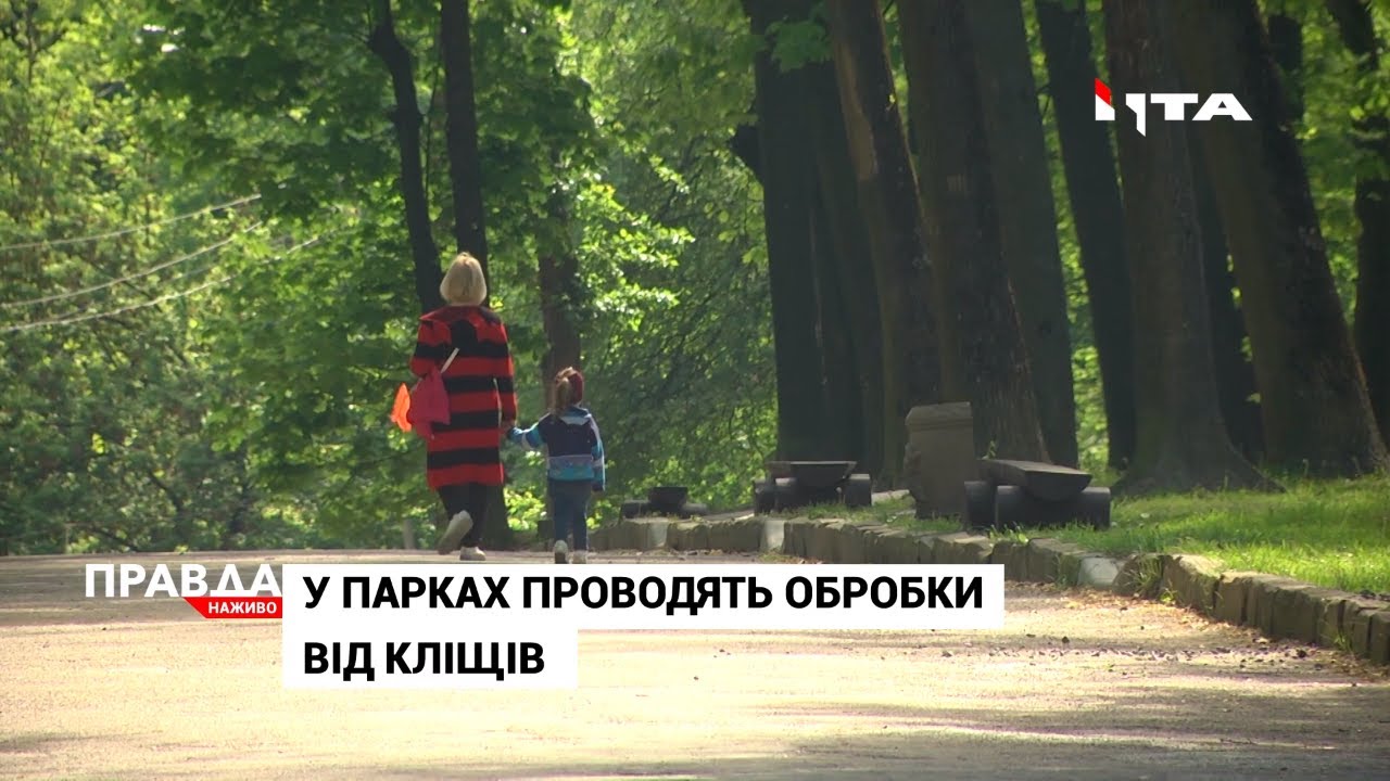 Сезон кліщів розпочався: чим вони небезпечні та як вберегтися?