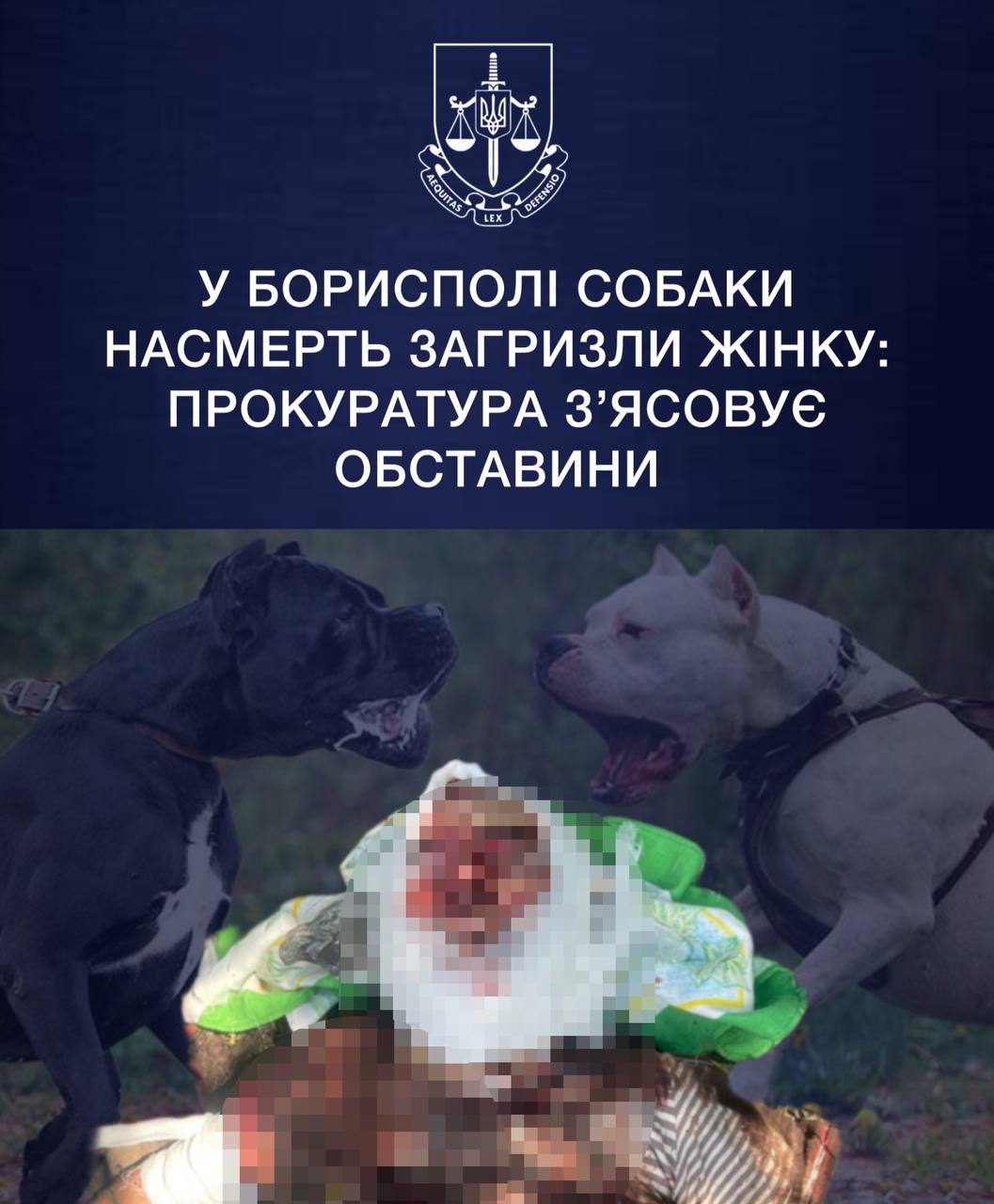Загризли насмерть: поблизу Києва собаки загризли пенсіонерку (фото)
