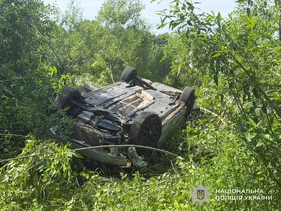 Аварія на Львівщині: авто вилетіло з дороги у кущі (фото)